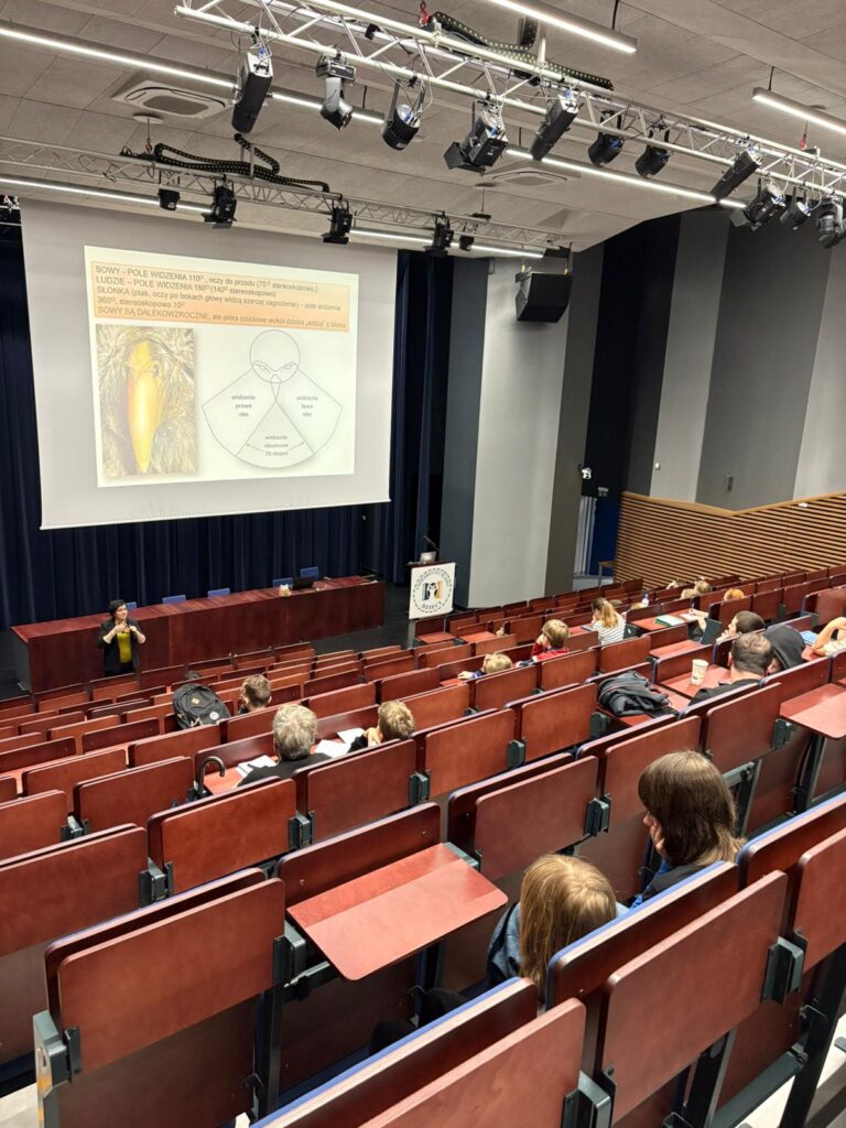 Sowy – mądre czy przystosowane