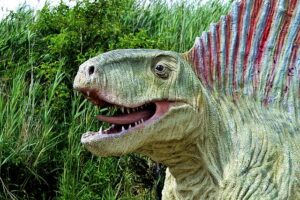 dinozaur